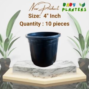 Black Pot