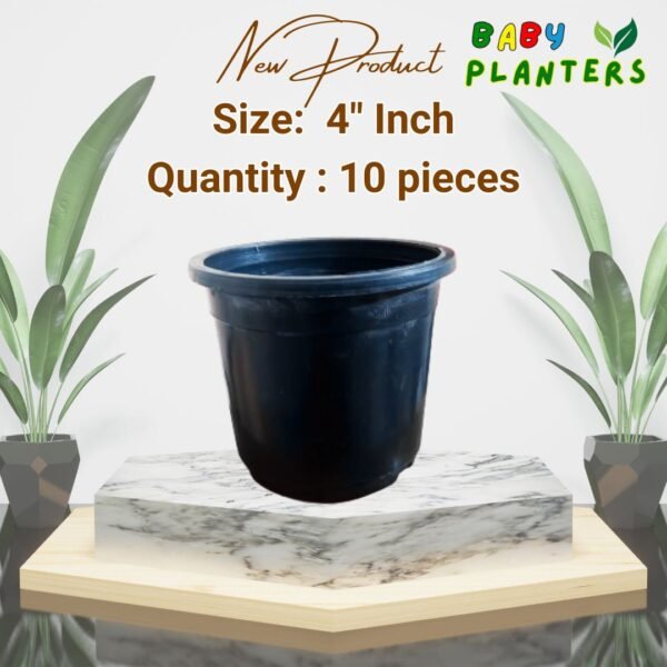 Black Pot