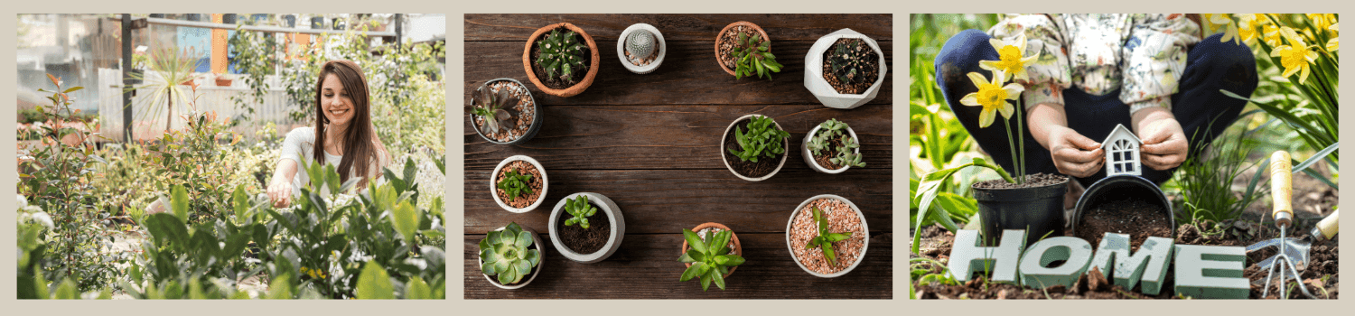 Gardening