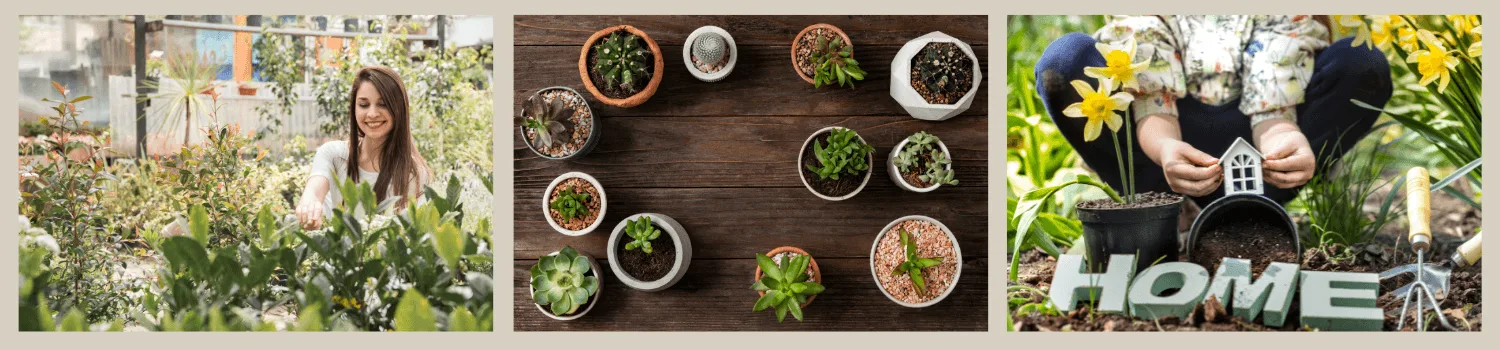Gardening